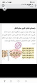 تکدست آینه ای ژوپینگ نقره ای 6میل کد 3345